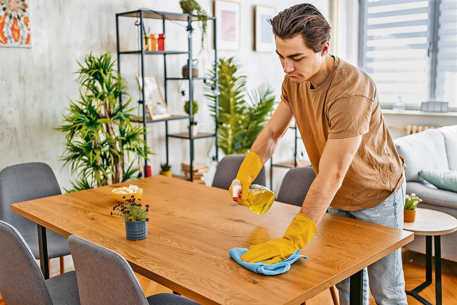 Ein junger Mann trägt gelbe Gummihandschuhe und reinigt mit einem Tuch und einem Reinigungsmittel eine Holzoberfläche in einem modern eingerichteten Wohnzimmer. Auf dem Tisch stehen eine kleine Pflanze und eine Schale mit Snacks. Im Hintergrund sind Zimmerpflanzen, Regale, ein Sofa und ein großes Fenster zu sehen. Der Mann wirkt konzentriert bei der Hausarbeit.
