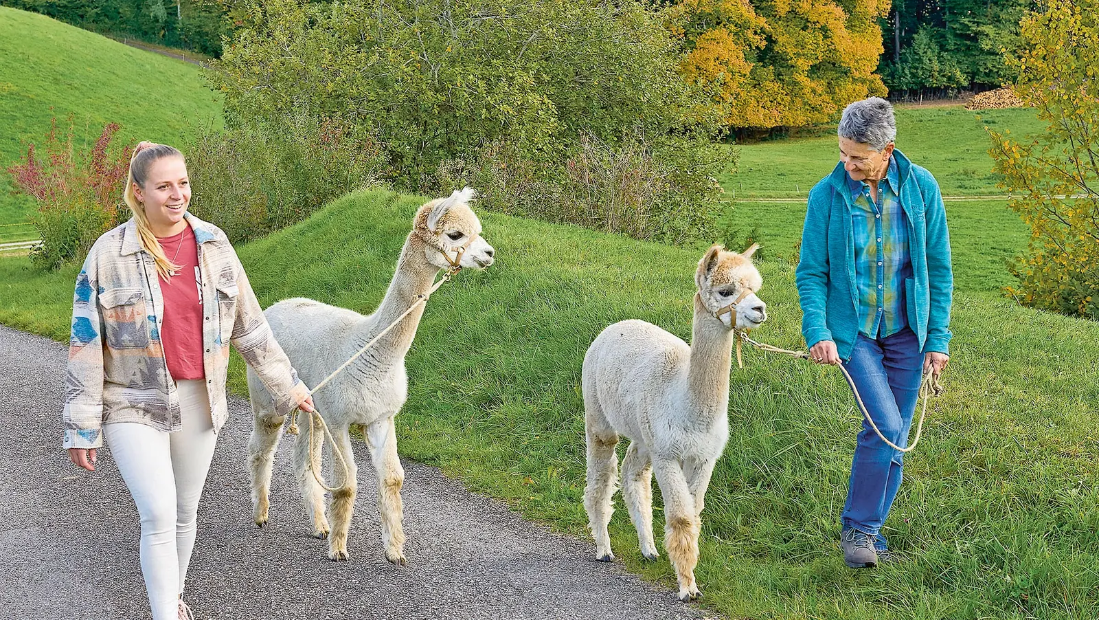 Zwei Damen spazieren mit jeweils einem Alpaka in der frischen Natur.