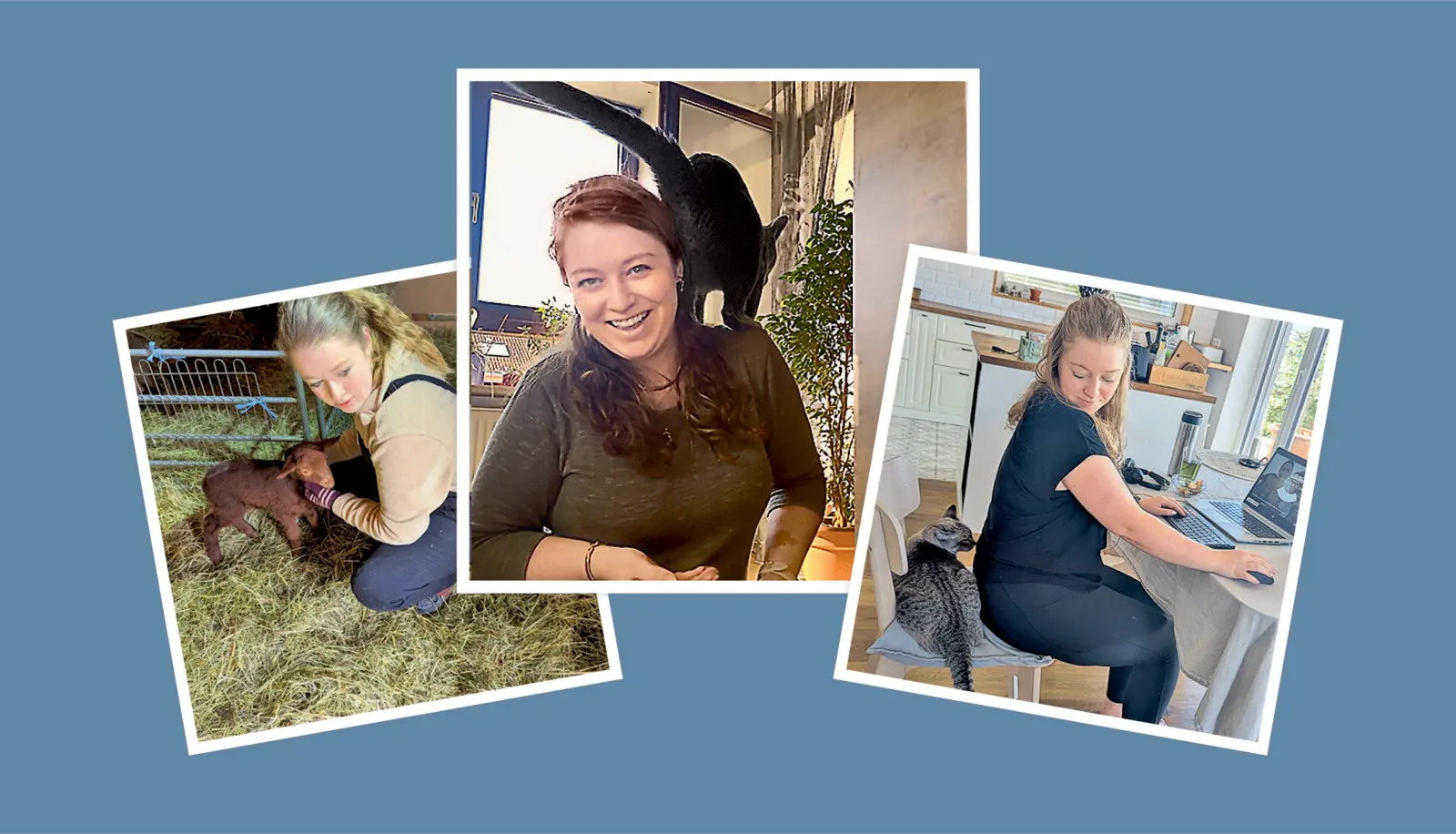 Bilder-Collage: Vanessa in verschiedenen Situationen, mal im Stall oder am Schreibtisch mit einer Katze hinter sich.