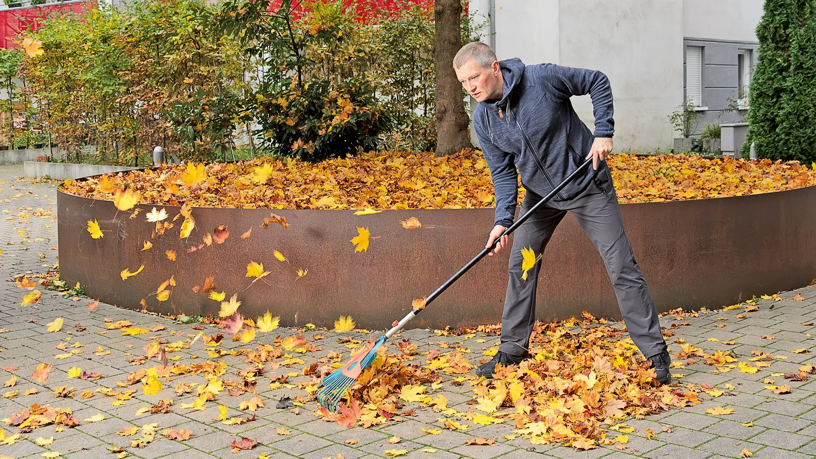 Ein Mann harkt viel Laub vom Boden zusammen.
