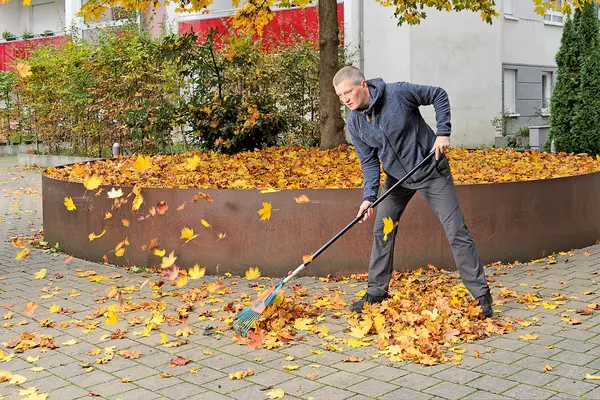 Ein Mann harkt viel Laub vom Boden zusammen.